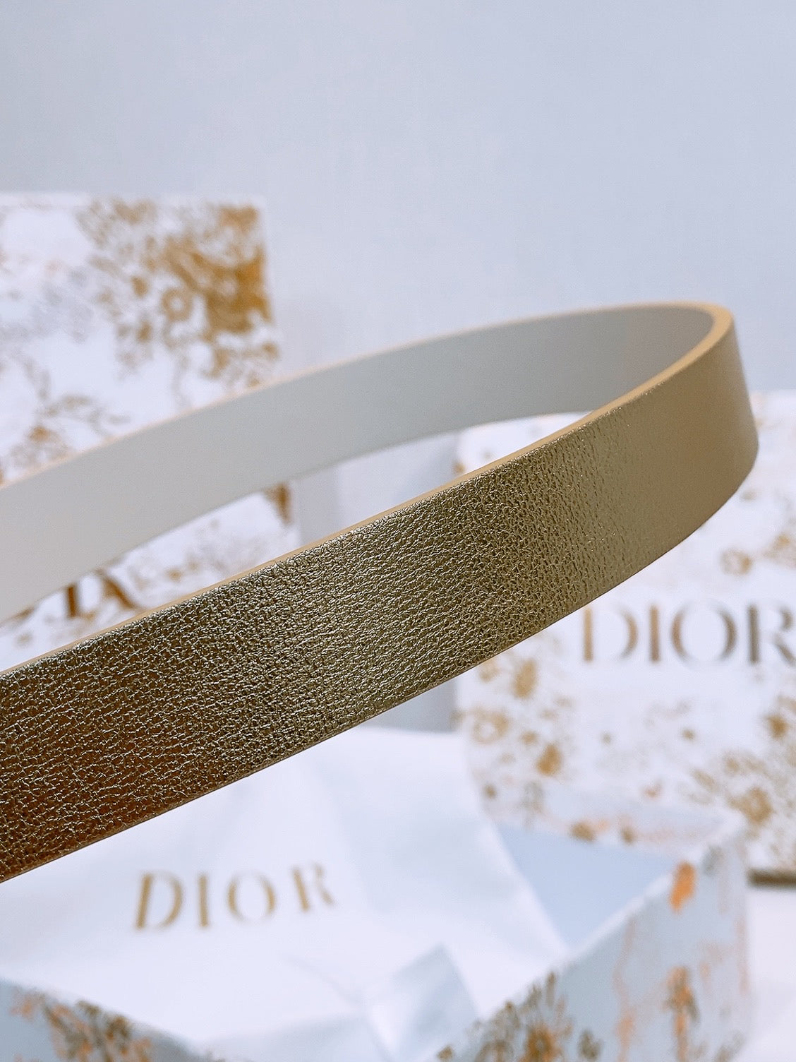 DIOR 25S BELT 20 MM IN METALLIC GOLD CALFSKIN 572893